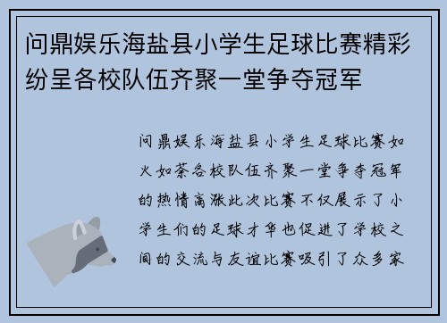 问鼎娱乐海盐县小学生足球比赛精彩纷呈各校队伍齐聚一堂争夺冠军